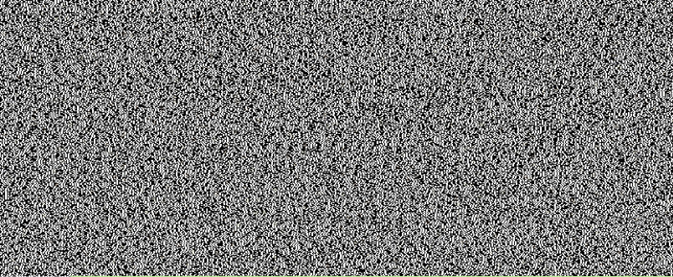 Static noise pattern with black and white speckles across the image, resembling a television screen without a signal.