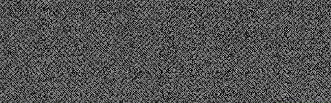 The image shows a dense black and white static pattern with a faint diagonal texture.