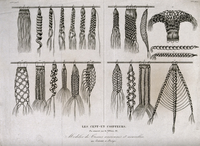 An illustrated chart displaying various intricate braid styles, labelled and hung on rods. The designs range from tight twists to woven patterns, showcasing historical and artistic hairstyling techniques.